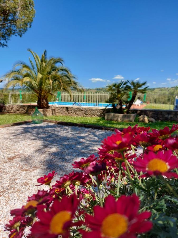 I Girasoli Di Lari - Appartamento Indipendente 2 Camere Da Letto Rivoli  Exterior photo